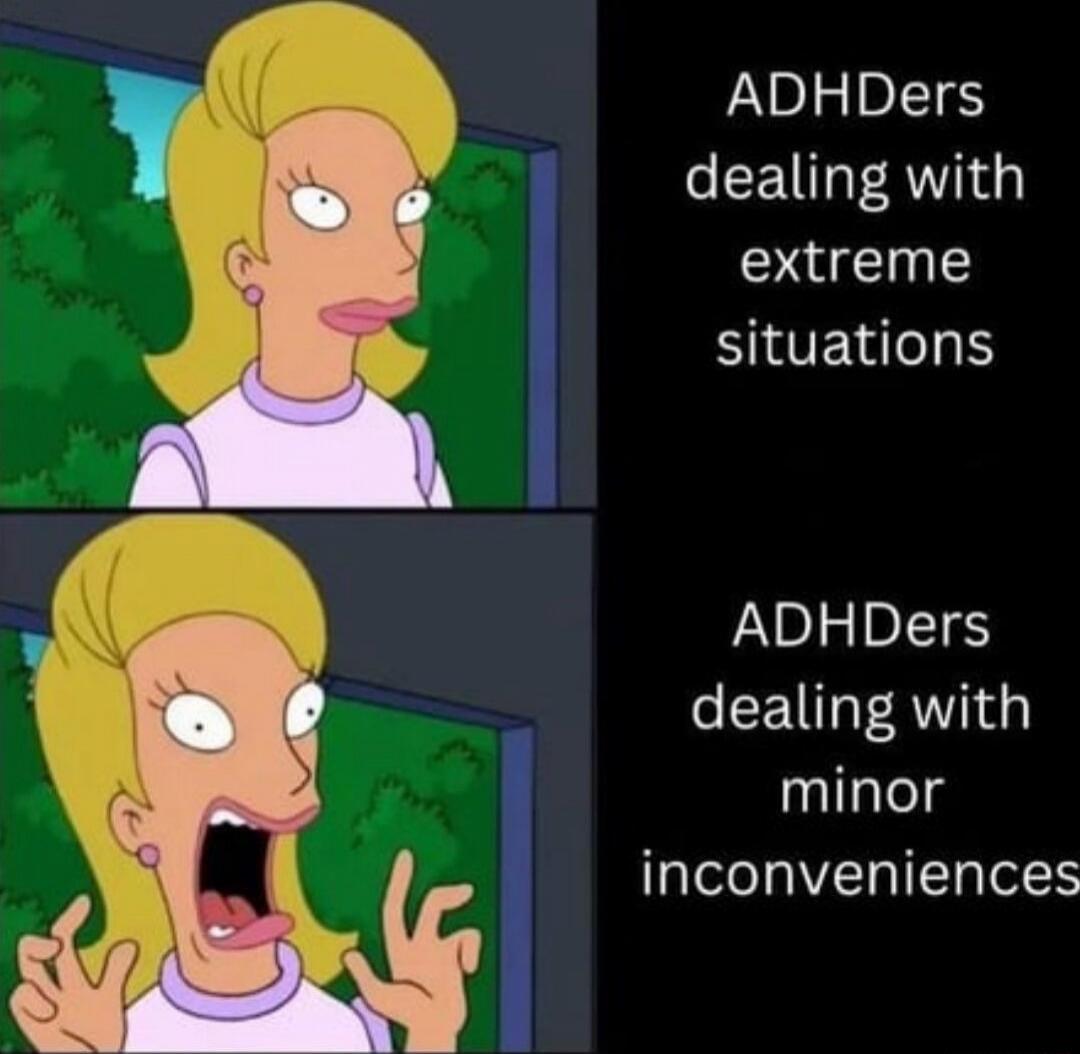 ADHDers dealing with extreme situations\nADHDer dealing with minor inconveniences