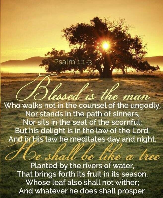 Psalm 1:1-3 Blessed is the man Who walks not in the counsel of the ungodly, Nor stands in the path of sinners, Nor sits in the seat of the scornful; But his delight is in the law of the Lord, And in His law he meditates day and night. He shall be like a tree Planted by the rivers of water, That brings forth its fruit in its season, Whose leaf also 
