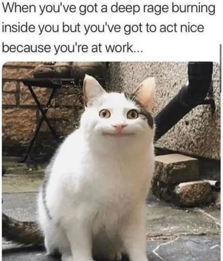 When youve got a deep rage burning inside you but youve got to act nice because youre at work