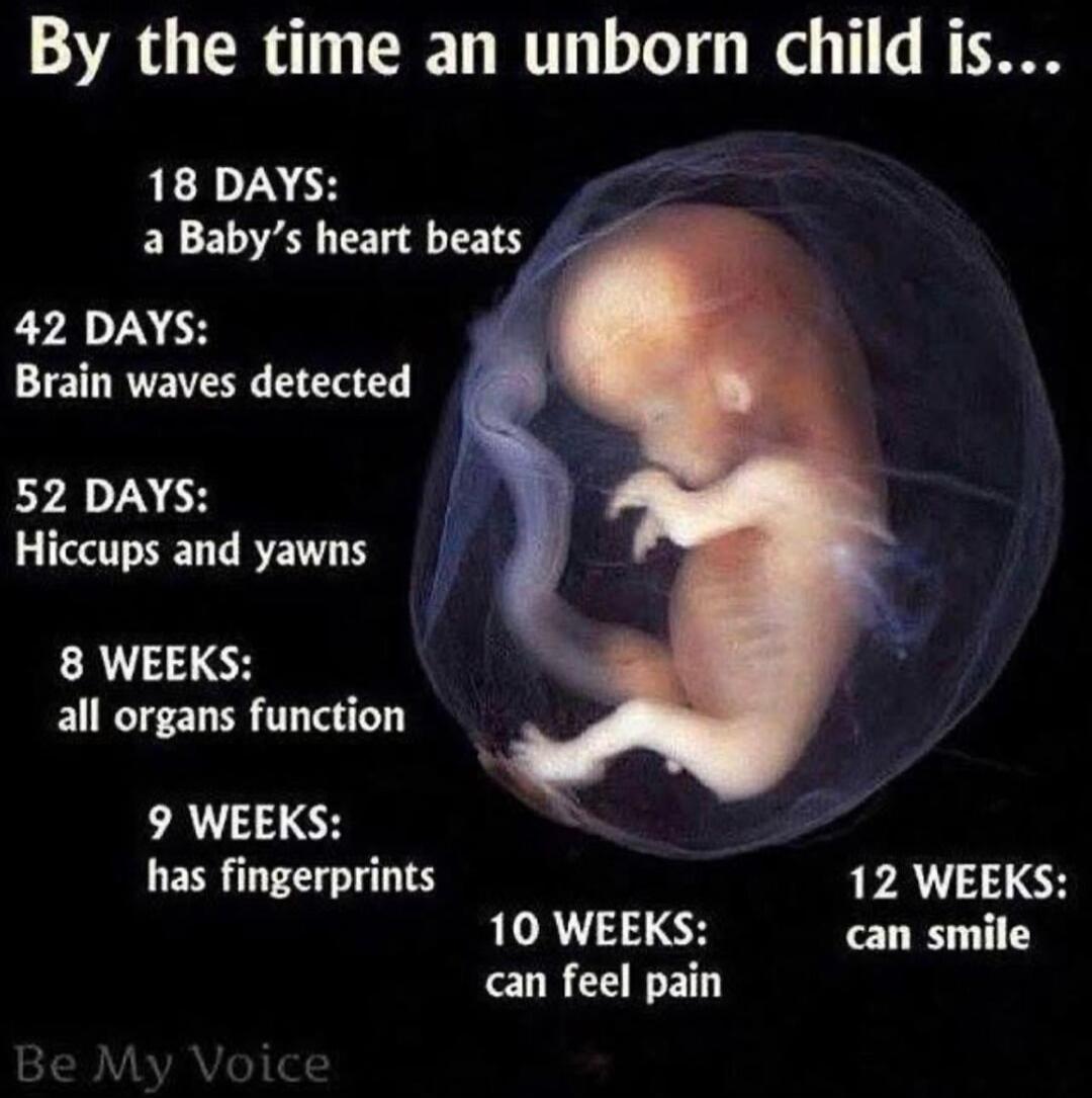 By the time an unborn child is...\n18 DAYS: a Baby's heart beats\n42 DAYS: Brain waves detected\n52 DAYS: Hiccups and yawns\n8 WEEKS: all organs function\n9 WEEKS: has fingerprints\n10 WEEKS: can feel pain\n12 WEEKS: can smile\nBe My Voice