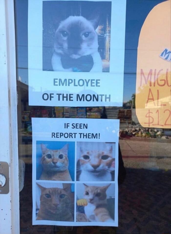 EMPLOYEE OF THE MONTH IF SEEN REPORT THEM! MIGU AL $12