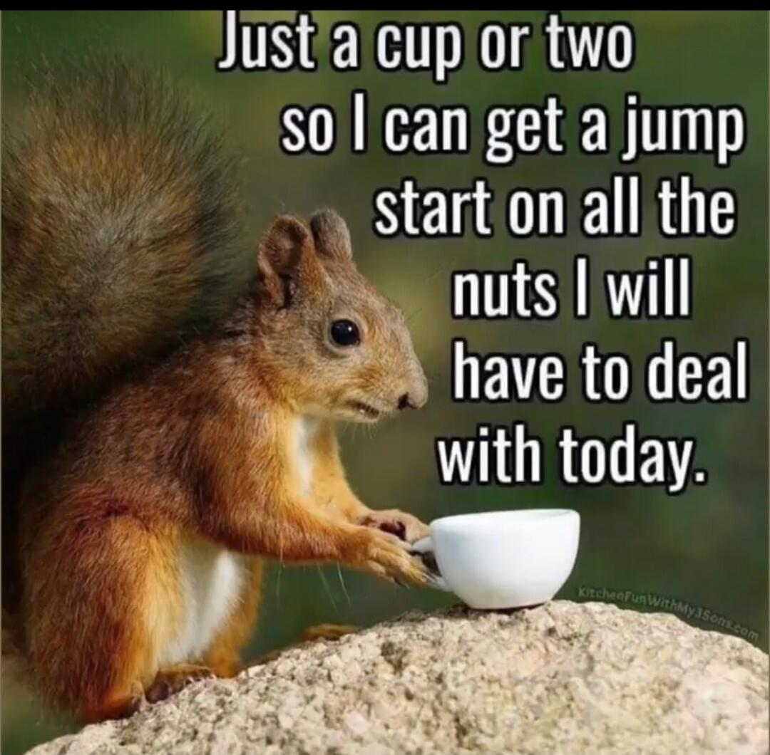 Just a cup or two so I can get a jump start on all the nuts I will have to deal with today.
