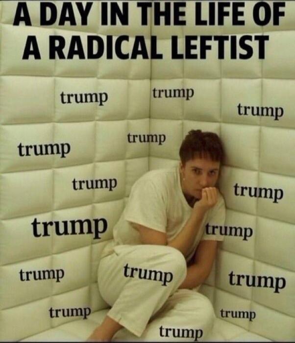 A day in the life of a radical leftist. The word 'trump' is written repeatedly on the padded walls of a room where a person in a patient gown is sitting distressed.