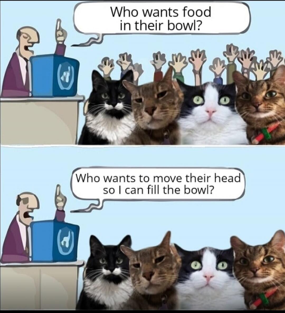 Who wants food in their bowl? Who wants to move their head so I can fill the bowl?