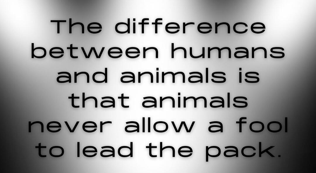 The difference between humans and animals is that animals never allow a fool to lead the pack.