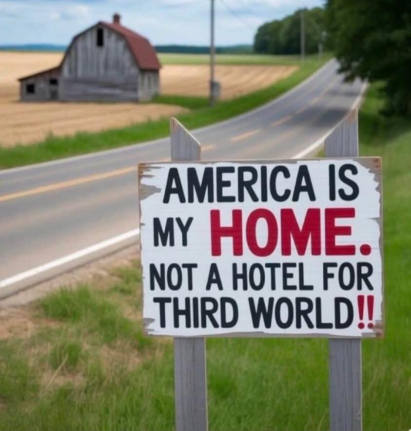 AMERICA IS MY HOME. NOT A HOTEL FOR THIRD WORLD!!