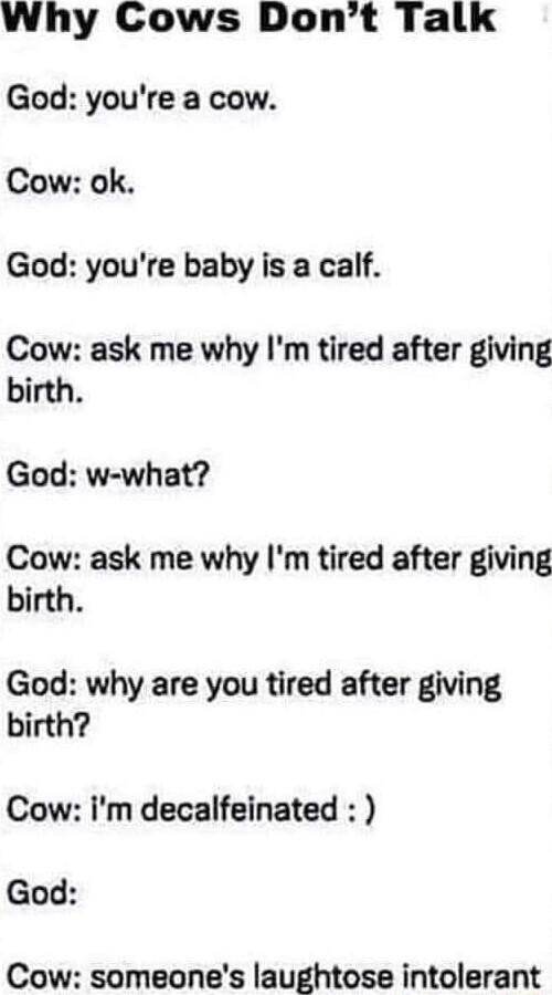 Why Cows Dont Talk God youre a cow Cow ok God youre baby is a calf Cow ask me why Im tired after giving birth God w what Cow ask me why Im tired after giving birth God why are you tired after giving birth Cow im decalfeinated God Cow someones laughtose intolerant