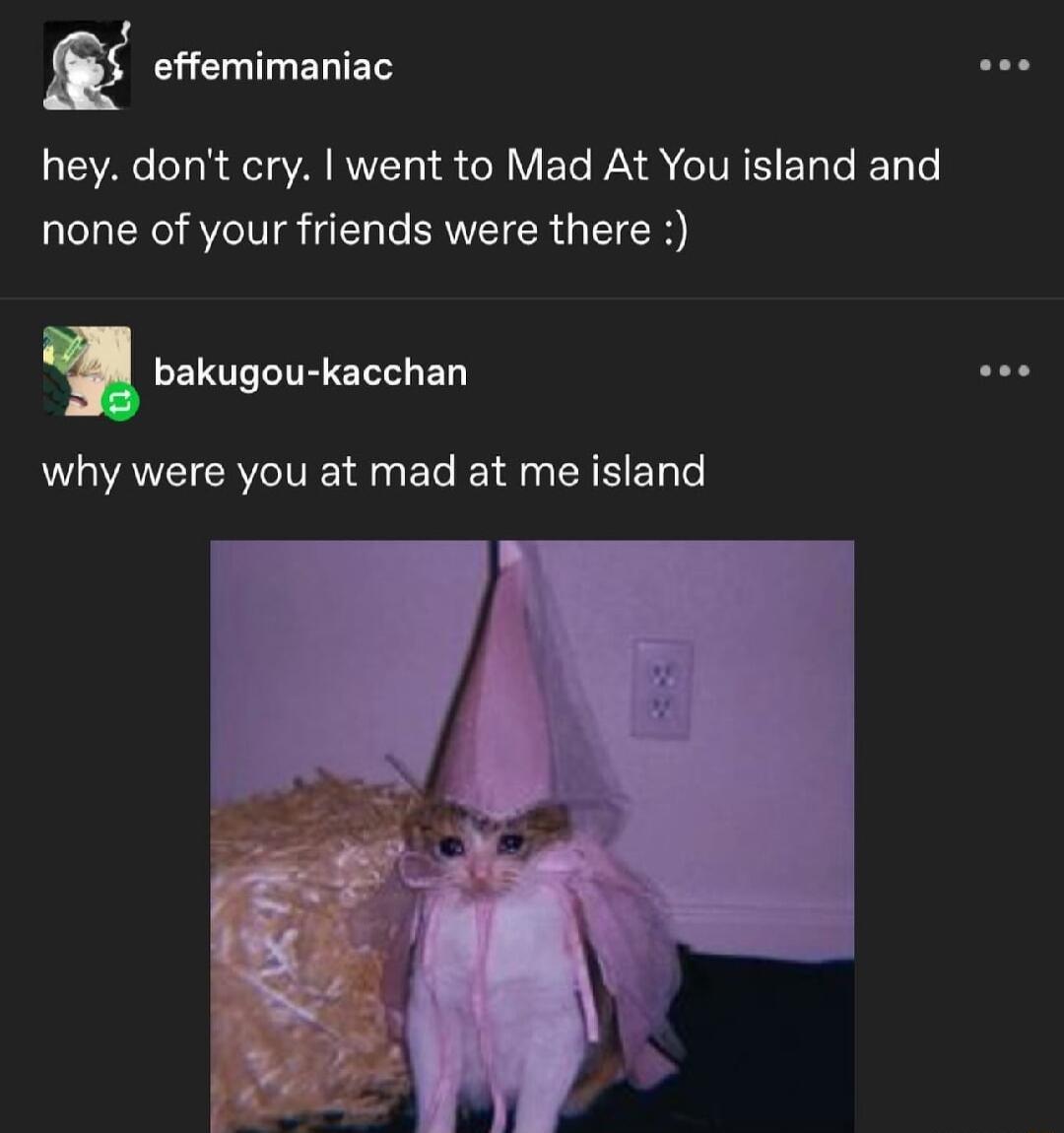 f effemimaniac o hey dont cry went to Mad At You island and none of your friends were there m bakugou kacchan WA CI VTN EL T R T