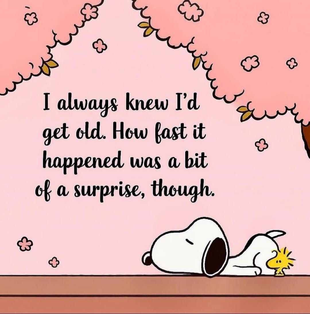 I always knew I’d get old. How fast it happened was a bit of a surprise, though.