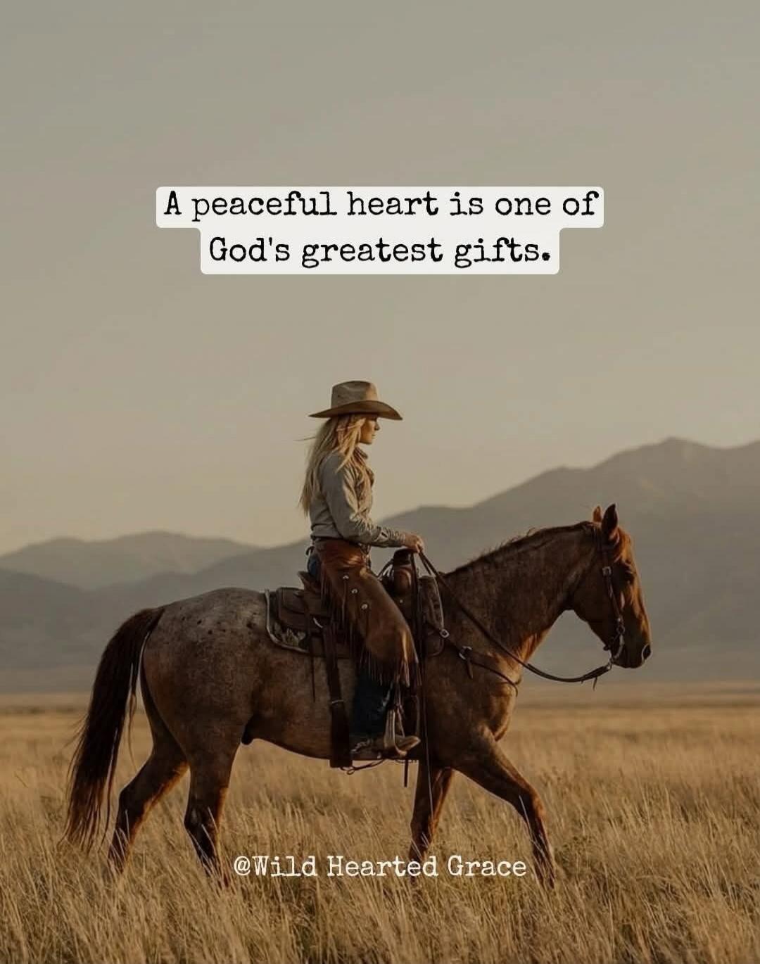 A peaceful heart is one of God's greatest gifts. @Wild Hearted Grace