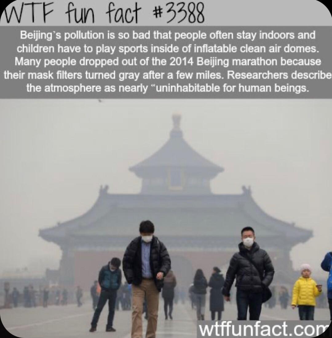 WTF fun fact 5588 b Beijings pollution is so bad that people often stay indoors and children have to play sports inside of inflatable clean air domes Many people dropped out of the 2014 Beiing marathon because their mask filters turned gray after a few miles Researchers describ the atmosphere as nearly uninhabitable for human beings