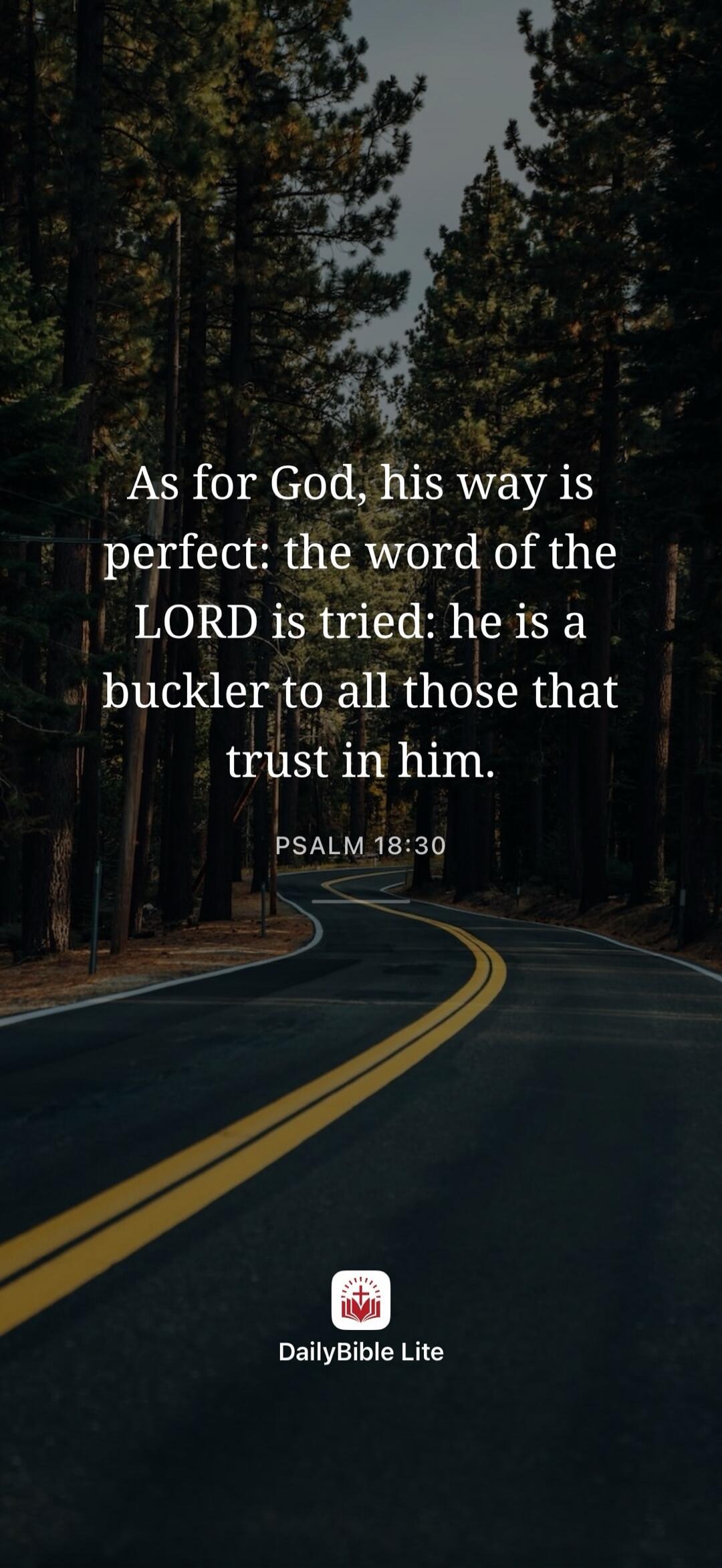 As for God, his way is perfect: the word of the LORD is tried: he is a buckler to all those that trust in him. PSALM 18:30 DailyBible Lite