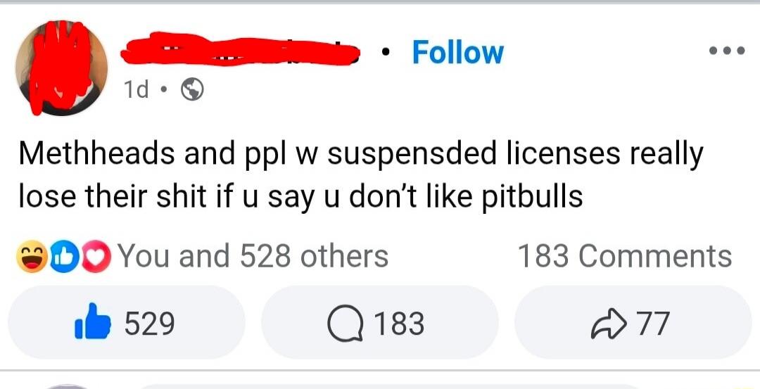 Methheads and ppl w suspensded licenses really lose their shit if u say u don't like pitbulls