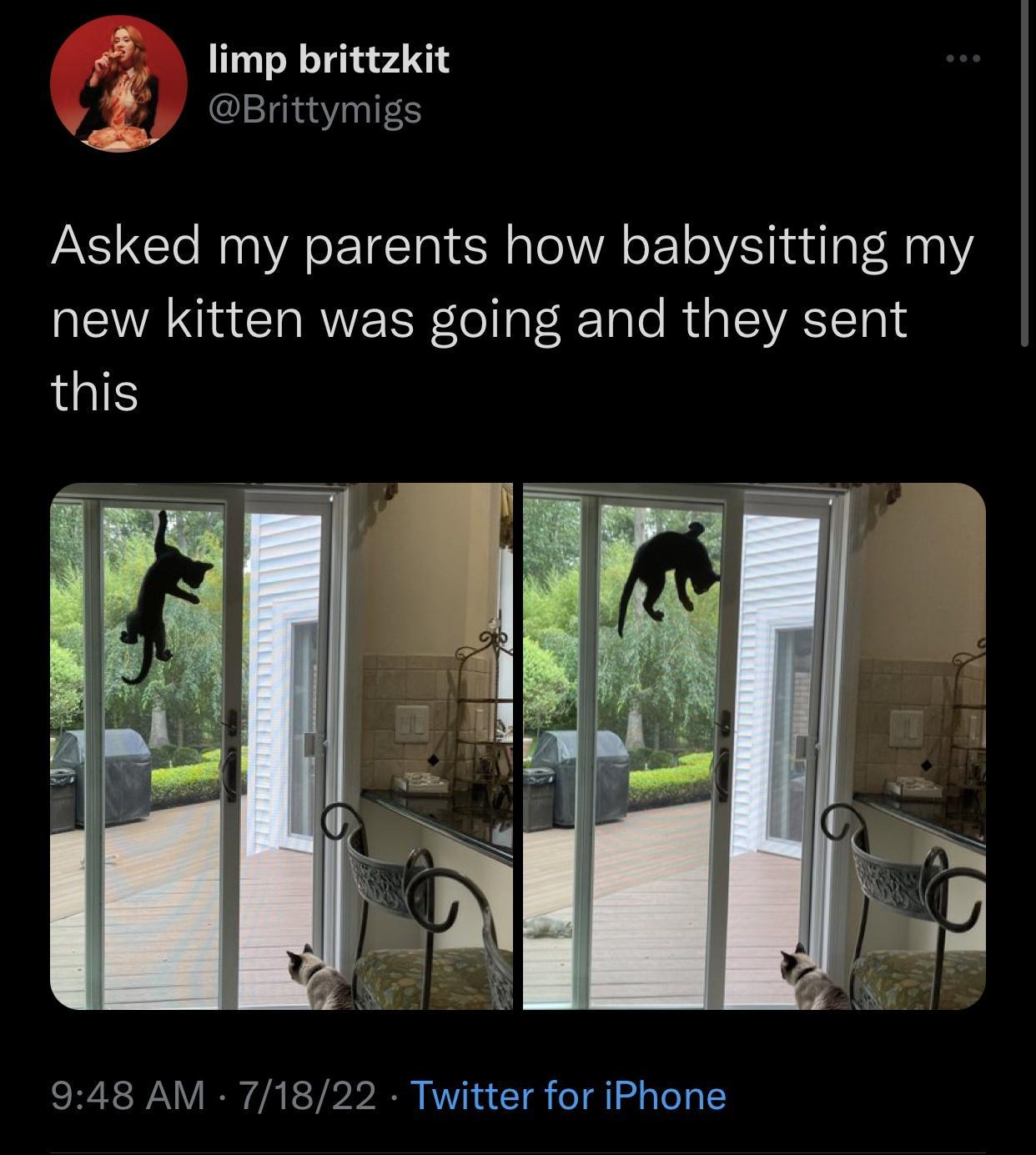 2 limp brittzkit i Brittymigs Asked my parents how babysitting my REVANRCIRWEER ol F R Tale RipIEIVATTA 1S this 948 AM 71822 Twitter for iPhone