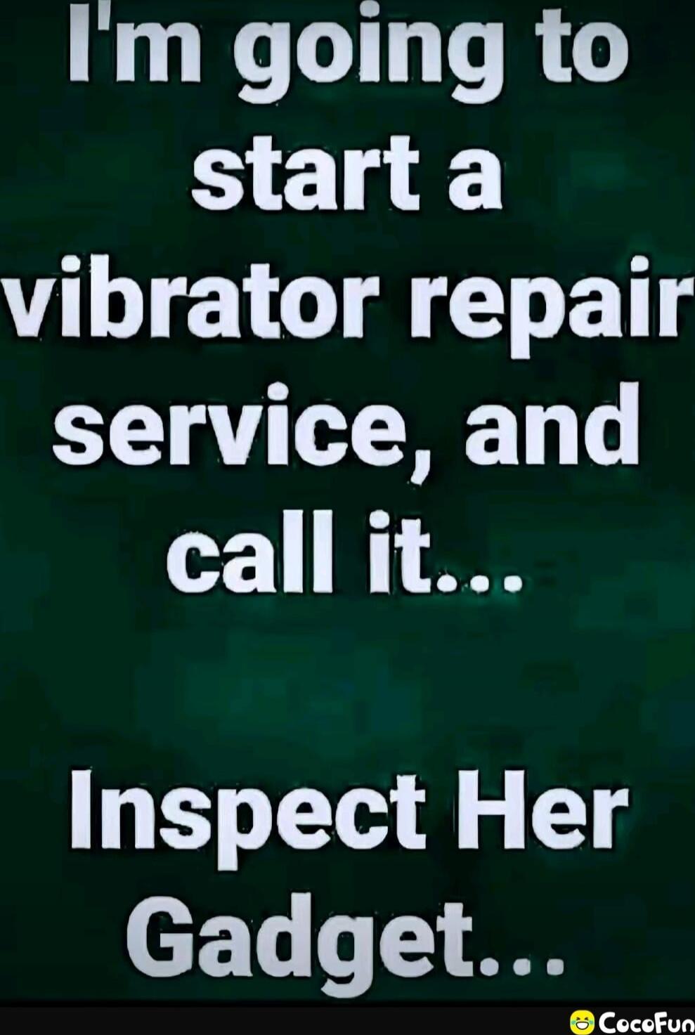 I'm going to start a vibrator repair service, and call it... Inspect Her Gadget...