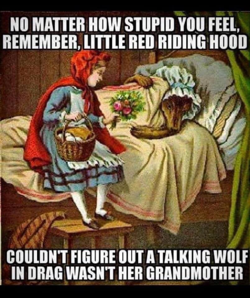 NO MATTER HOW STUPID YOU FEEL REMEMBER LITTLE RED RIDING HOOD COULDNT FIGURE OUT A TALKING WOLF IN DRAG WASNT HER GRANDMOTHER
