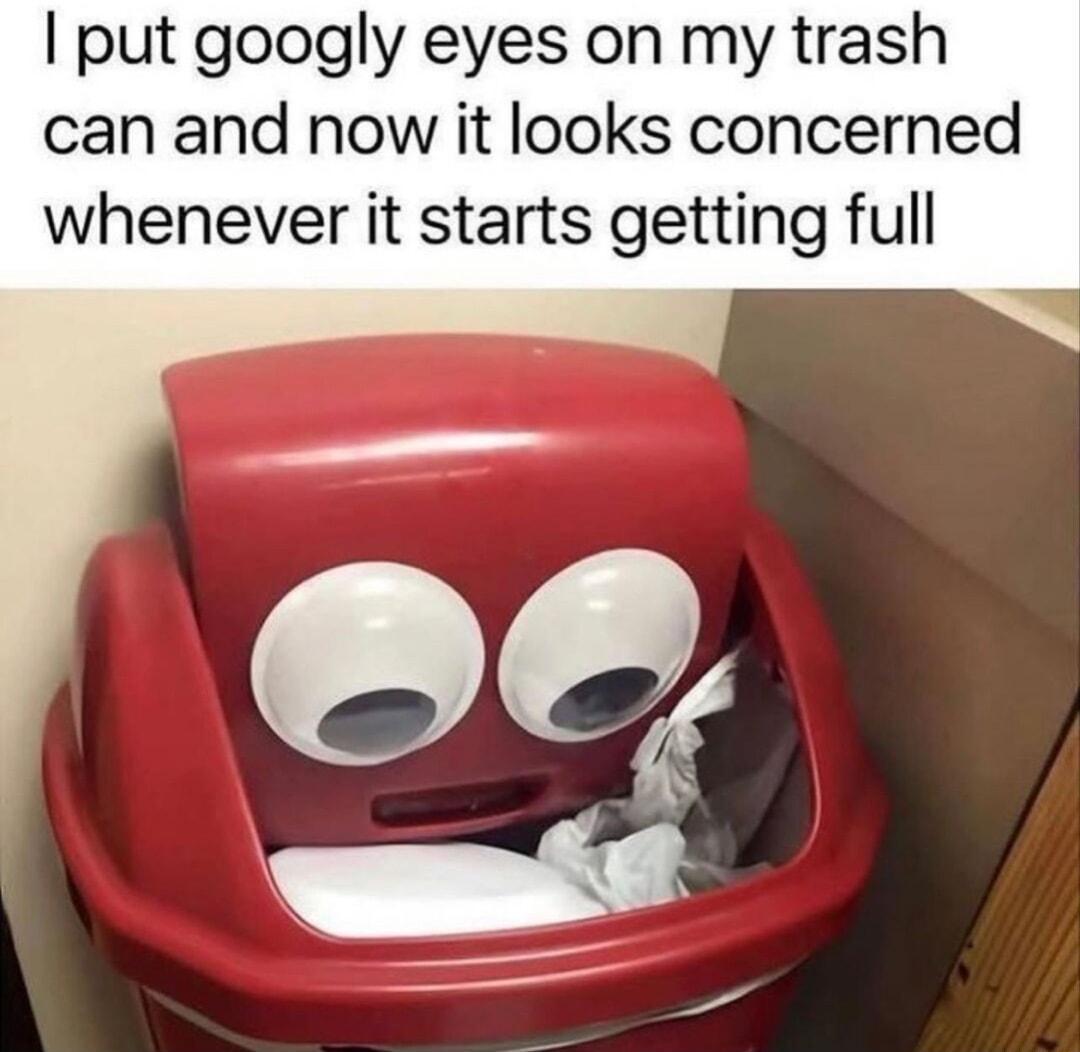 put googly eyes on my trash can and now it looks concerned whenever it starts getting full