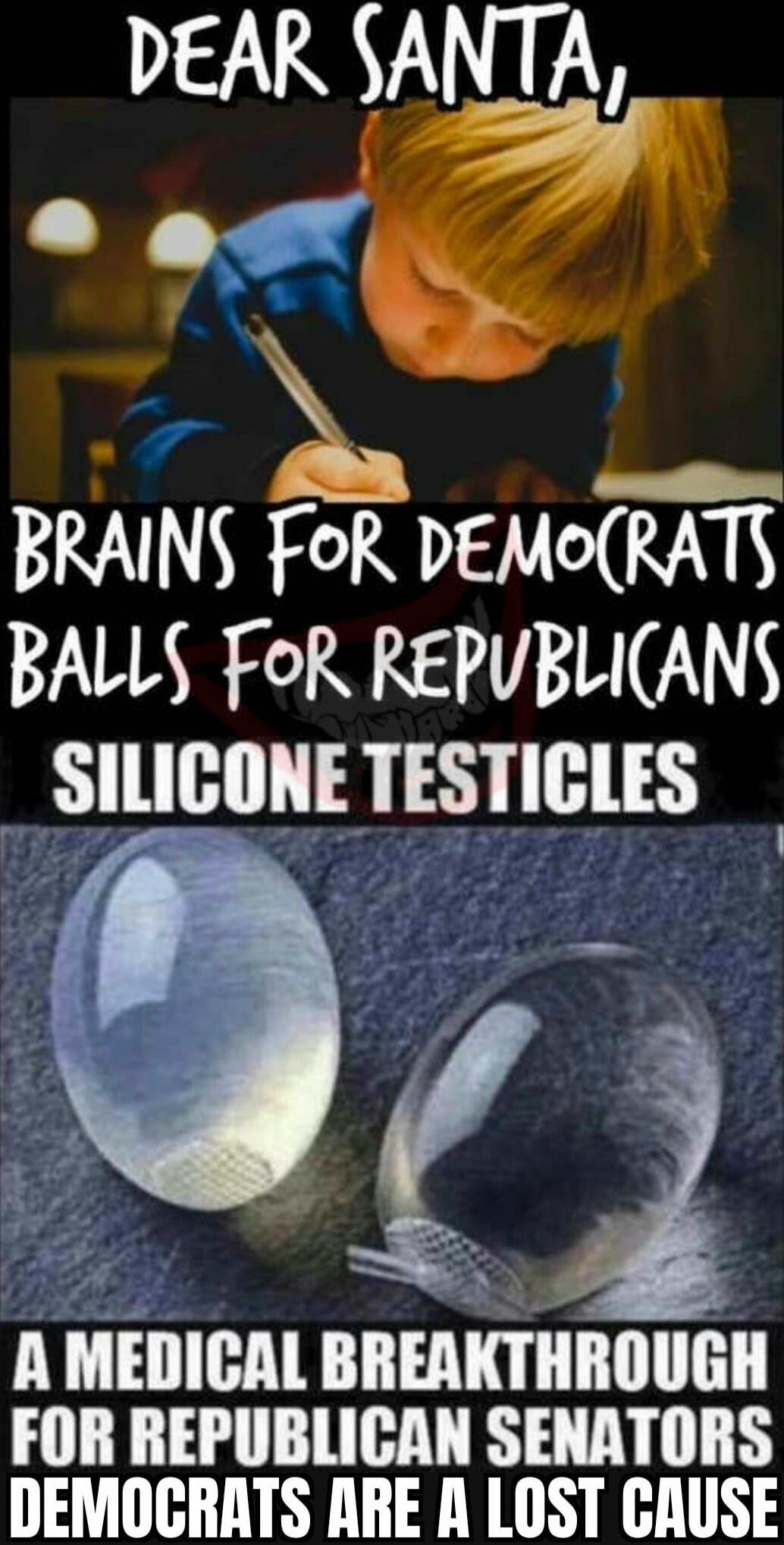 DEAR SANTA, BRAINS FOR DEMOCRATS BALLS FOR REPUBLICANS SILICONE TESTICLES A MEDICAL BREAKTHROUGH FOR REPUBLICAN SENATORS DEMOCRATS ARE A LOST CAUSE