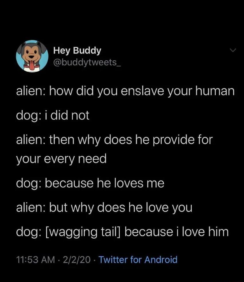 Hey Buddy buddytweets_ alien how did you enslave your human dog i did not alien then why does he provide for your every need dog because he loves me alien but why does he love you dog wagging tail because i love him 1153 AM 2220 Twitter for Android