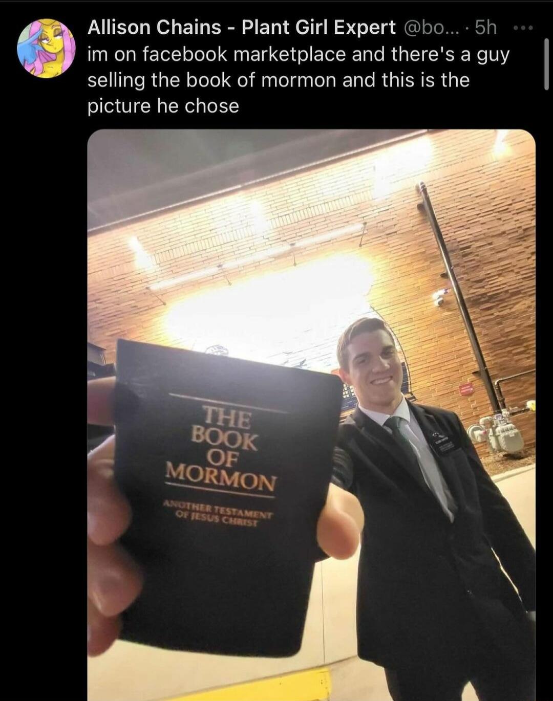 im on facebook marketplace and theres a guy selling the book of mormon and this is the picture he chose Allison Chains Plant Girl Expert bo
