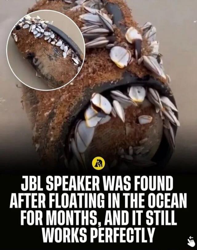 JBL SPEAKER WAS FOUND AFTER FLOATING IN THE OCEAN FOR MONTHS, AND IT STILL WORKS PERFECTLY