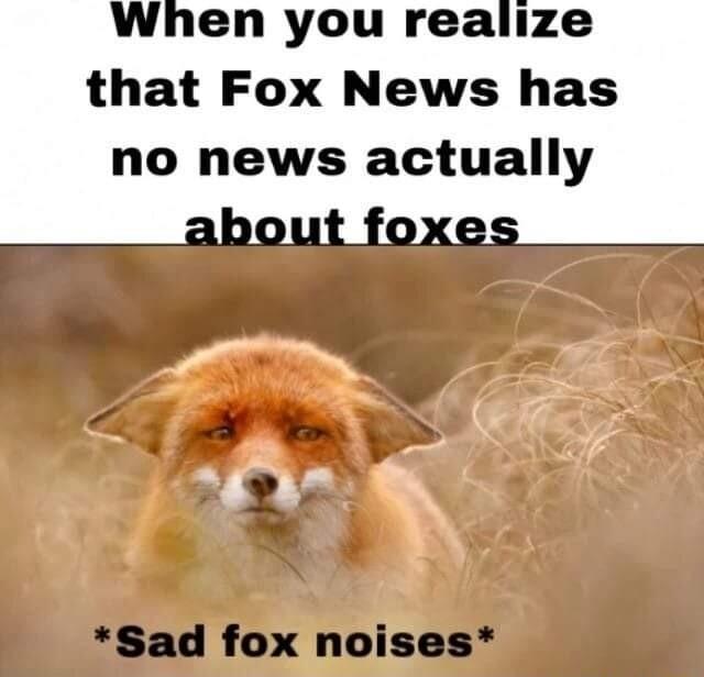 When you realize that Fox News has no news actually Sad fox noises