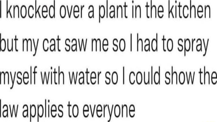 knocked over a plant in the kitchen ut my cat saw me so had to spray myself with water so could show the aw applies to everyone