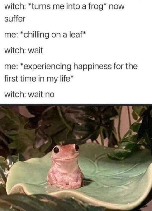 witch turns me into a frog now suffer me chilling on a leaf witch wait me experiencing happiness for the first time in my life witch wait no