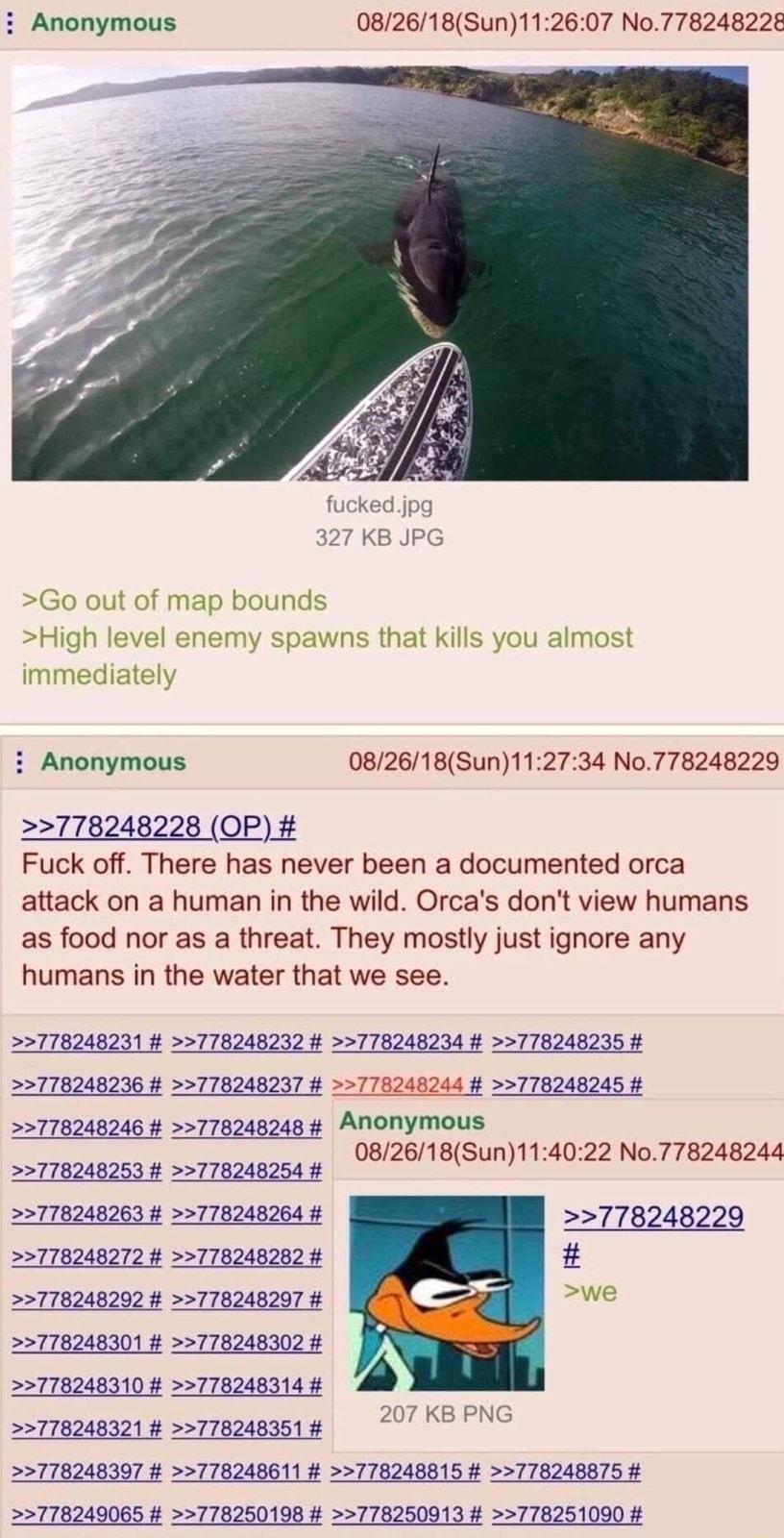 Anonymous 082618Sun112607 No778248228 fuckedjpg 327 KB JPG Go out of map bounds High level enemy spawns that kills you almost immediately i Anonymous 082618Sun112734 No778248229 778248228 OP Fuck off There has never been a documented orca attack on a human in the wild Orcas dont view humans as food nor as a threat They mostly just ignore any humans in the water that we see 778248231 778248232 7782