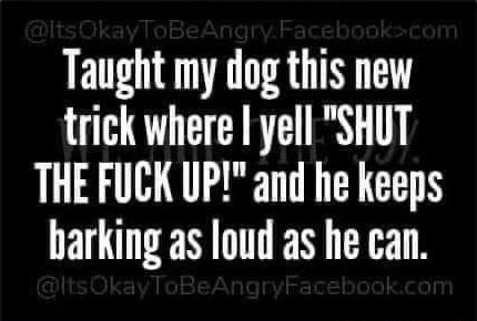 Taught my dog this new trick where I yell SHUT THE FUCK UP and he keeps barking as loud as he can