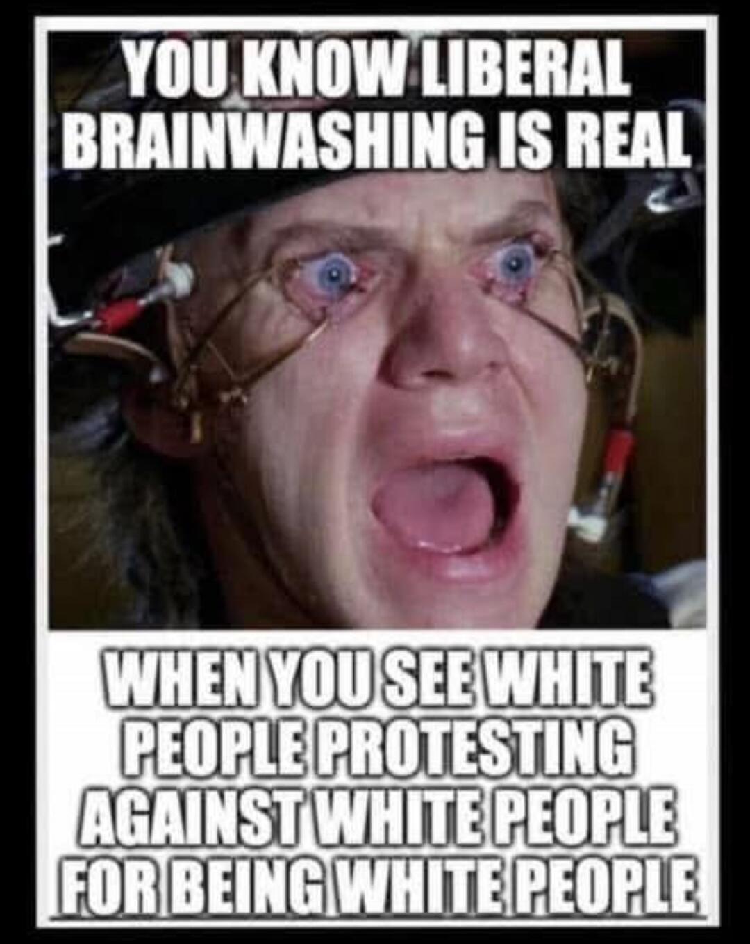 YOU KNOW LIBERAL BRAINWASHING IS REAL WHEN YOU SEE WHITE PEOPLE PROTESTING AGAINST WHITE PEOPLE FOR BEING WHITE PEOPLE