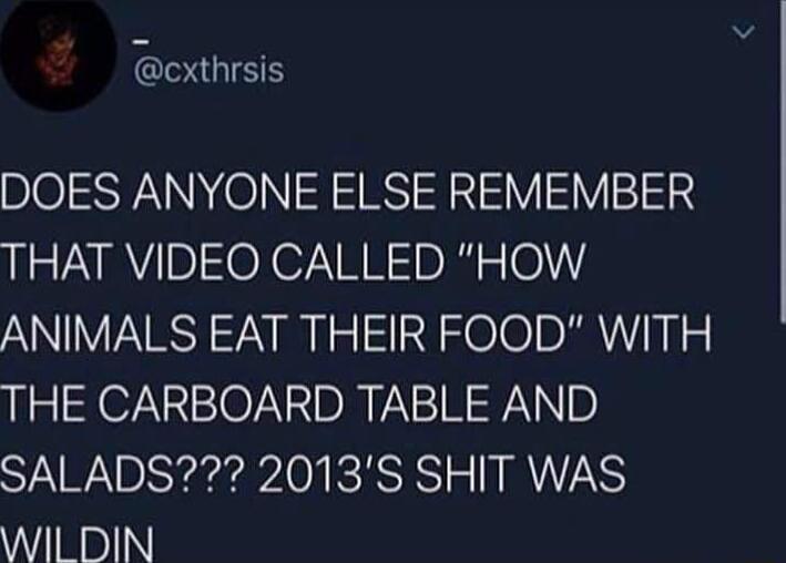 cxlhrsis BIOSWANNNO N BSI V V1 THAT VIDEO CALLED HOW ANIMALS EAT THEIR FOOD WITH THE CARBOARD TABLE AND SALADS 2013S SHIT WAS WIL DIN