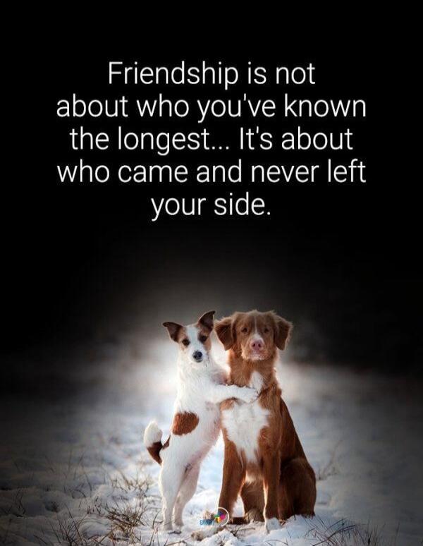 Friendship is not about who you've known the longest... It's about who came and never left your side.