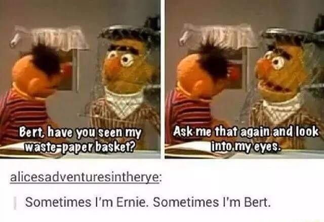Bert haveyouseen my Ask me thatagain and look W astezpaperbasket intomyleyes alicesadventuresintherye Sometimes Im Ernie Sometimes Im Bert