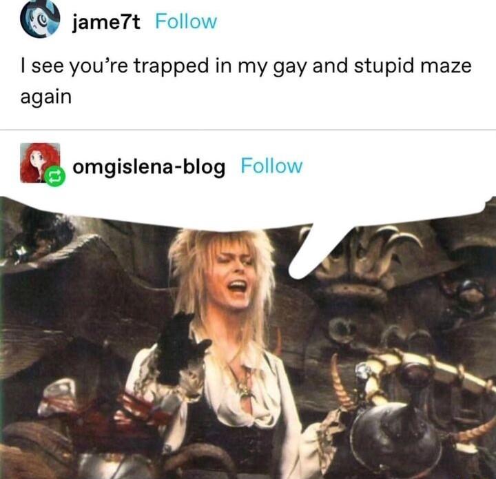 jameTt Follow see youre trapped in my gay and stupid maze again omgislena blog Follow