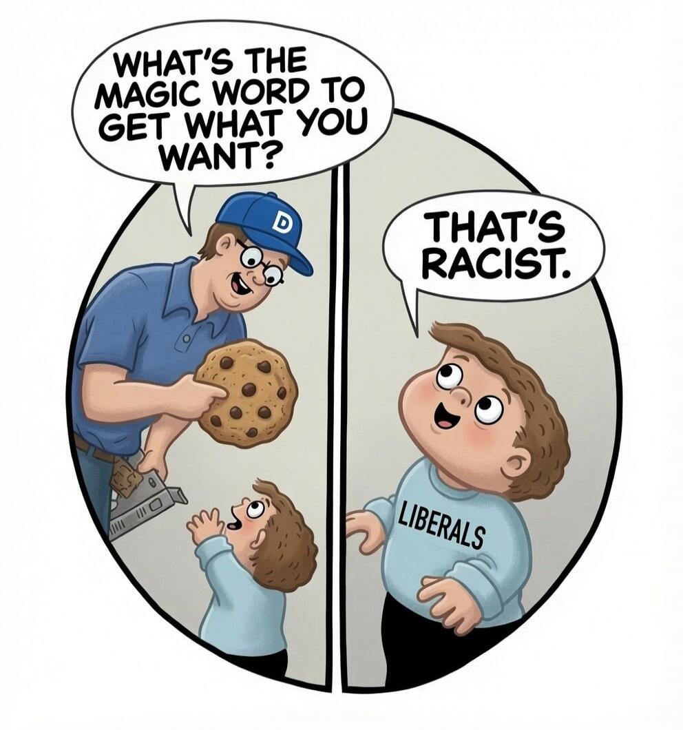 WHAT'S THE MAGIC WORD TO GET WHAT YOU WANT? THAT'S RACIST. D LIBERALS