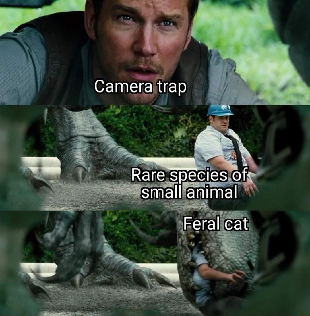 AR w s y OETNEIENIE 53 peciesofs SnElliEminEdl o Feral