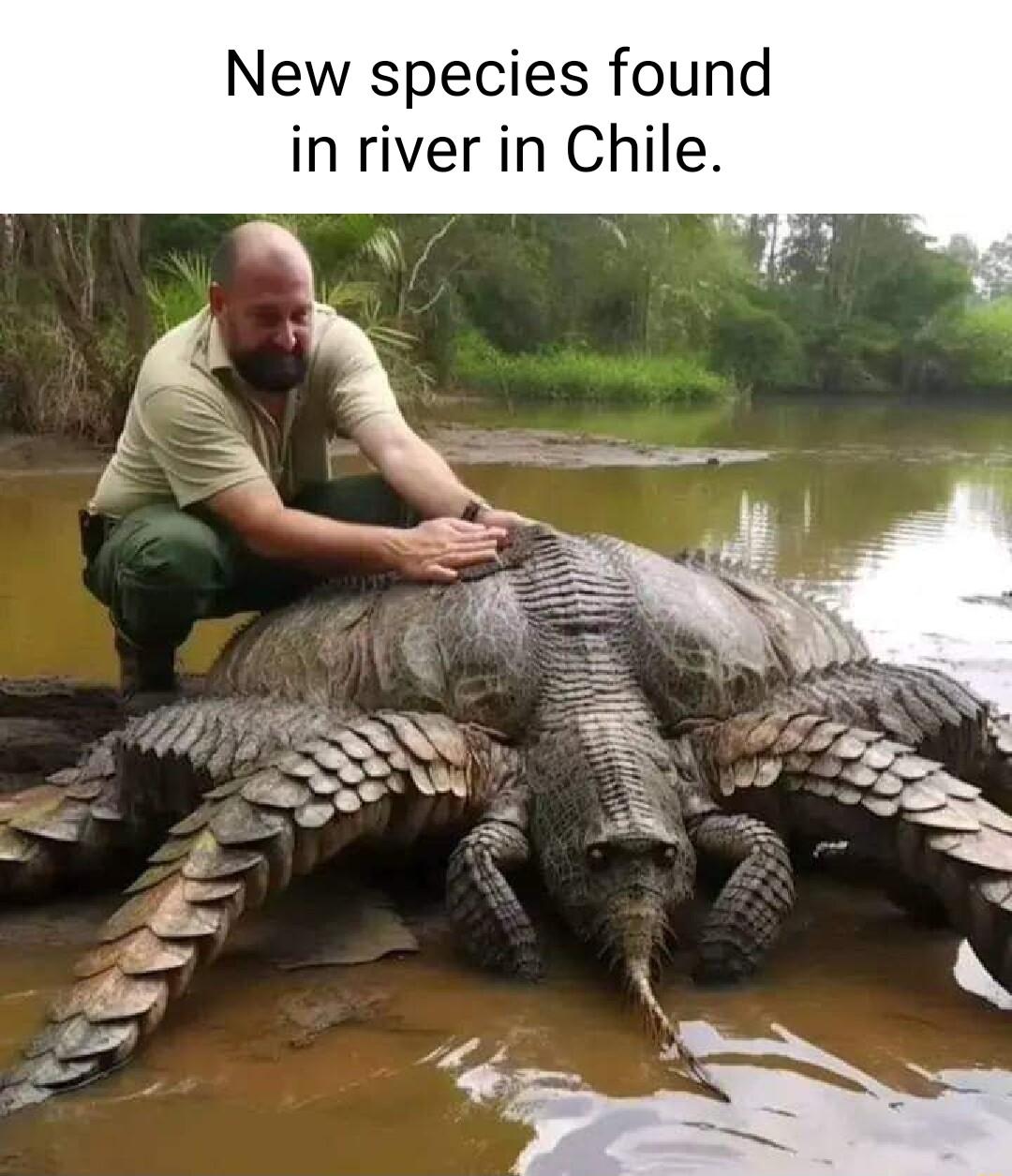 New species found inriver in Chile