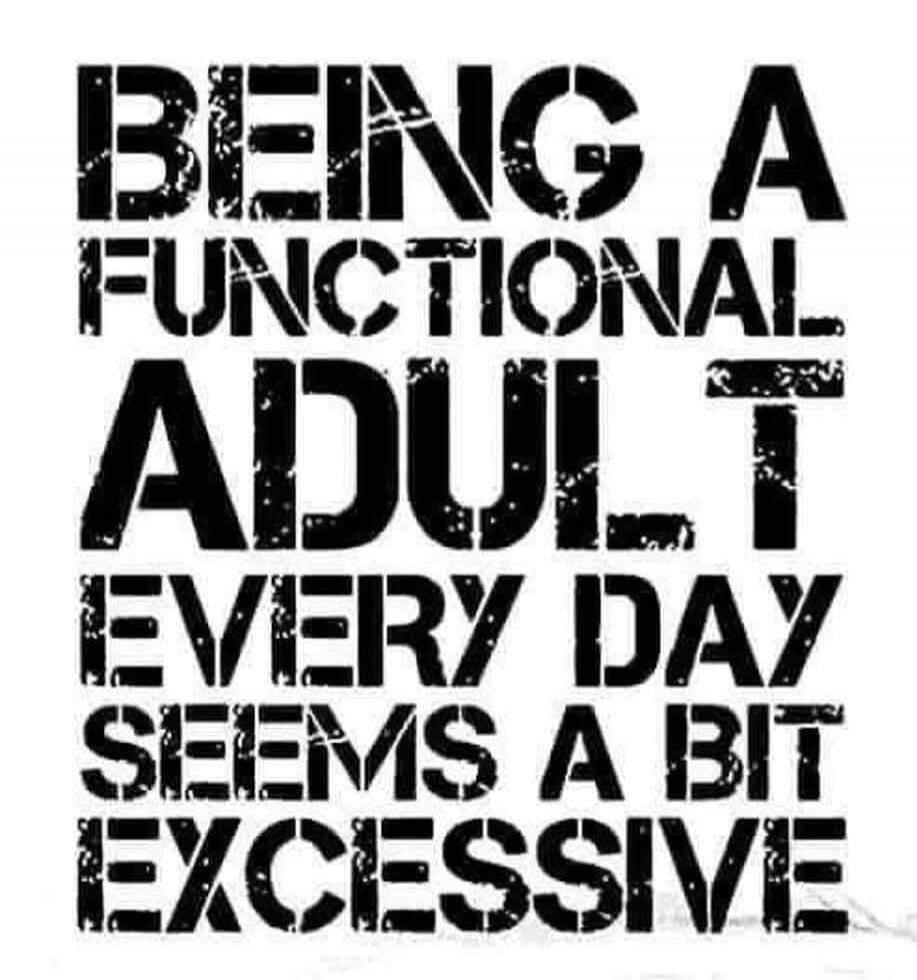 BEING A FUNCTIONAL ADULT EVERY DAY SEEMS A BIT EXCESSIVE