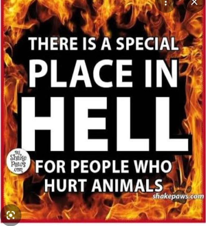 There is a special place in hell for people who hurt animals