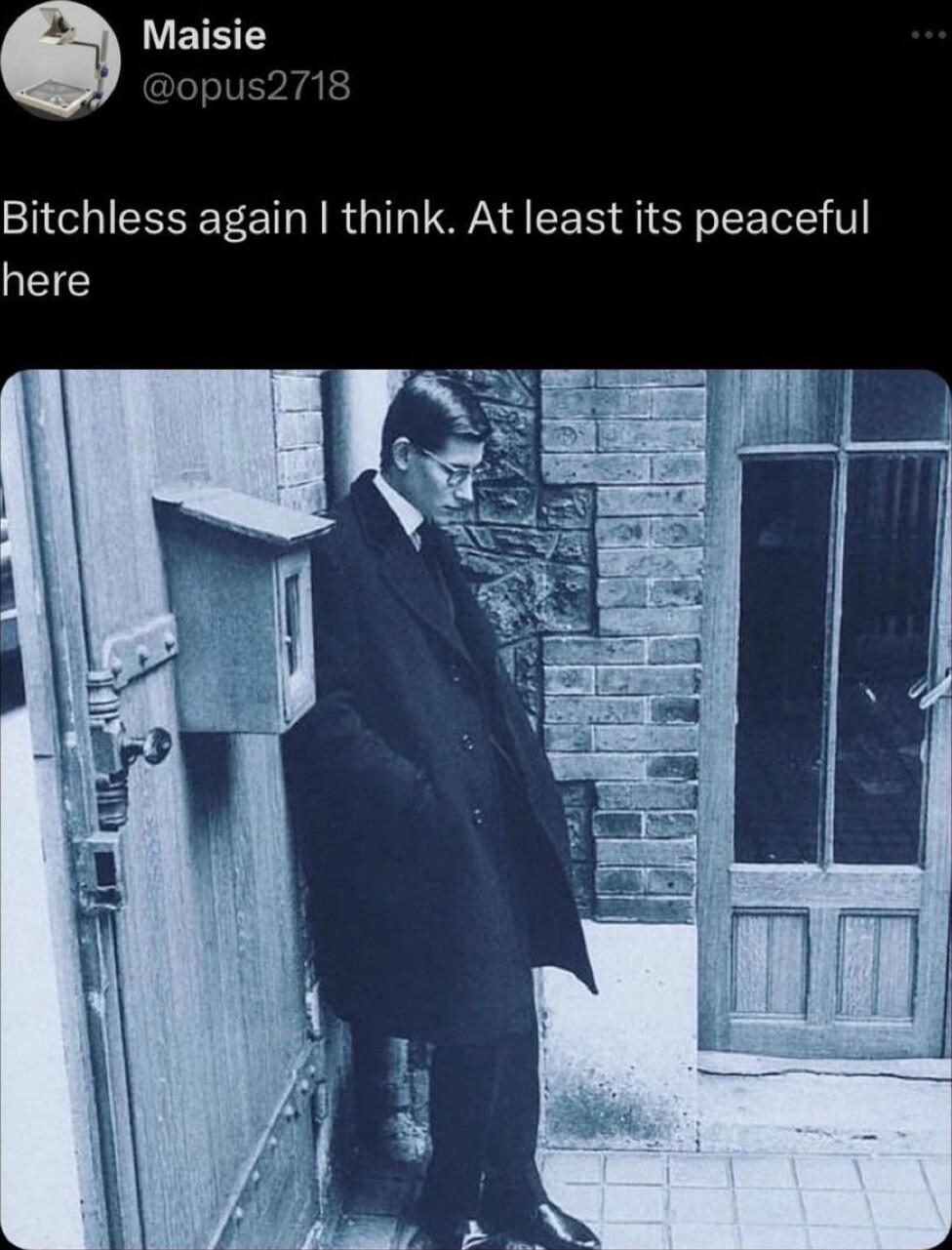 LEIETE opus2718 Bitchless again think At least its peaceful here