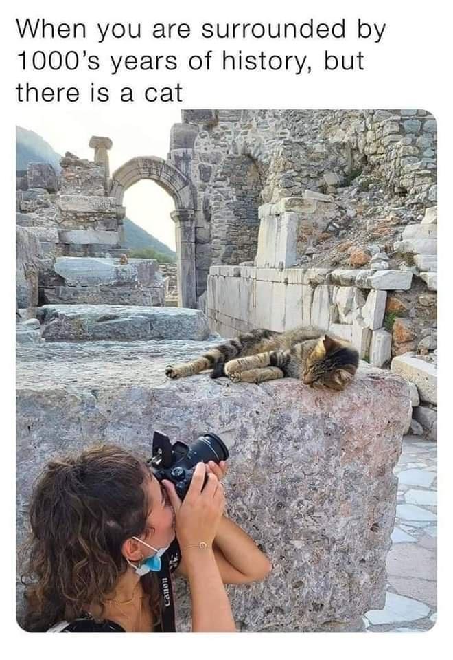 When you are surrounded by 1000s years of history but there is a cat