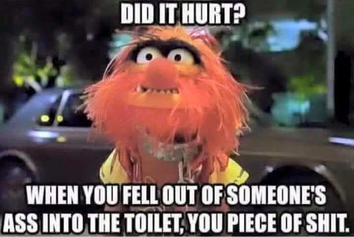 DID IT HURT? WHEN YOU FELL OUT OF SOMEONE'S ASS INTO THE TOILET, YOU PIECE OF SHIT.