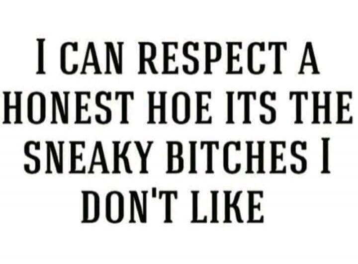 I CAN RESPECT A HONEST HOE ITS THE SNEAKY BITCHES I DON'T LIKE
