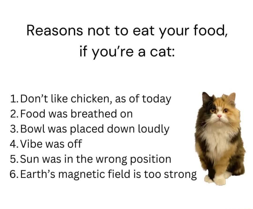 Reasons not to eat your food if youre a cat 1Dont like chicken as of today 2Food was breathed on 3Bowl was placed down loudly 4Vibe was off 5Sun was in the wrong position 6Earths magnetic field is too strong