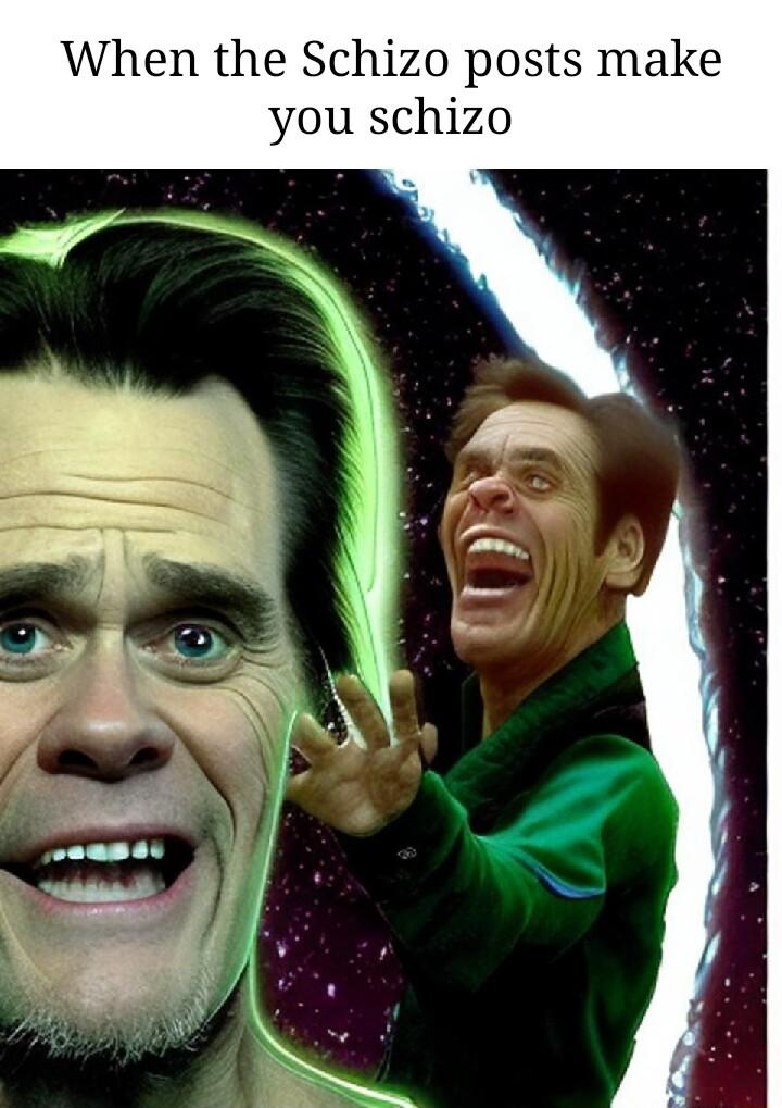 When the Schizo posts make you schizo