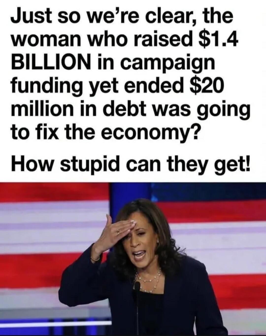 Just so we're clear, the woman who raised $1.4 BILLION in campaign funding yet ended $20 million in debt was going to fix the economy? How stupid can they get!