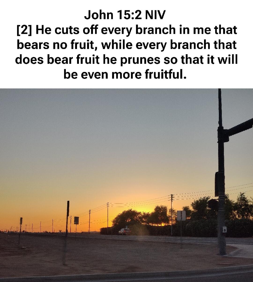 John 15:2 NIV [2] He cuts off every branch in me that bears no fruit, while every branch that does bear fruit he prunes so that it will be even more fruitful.