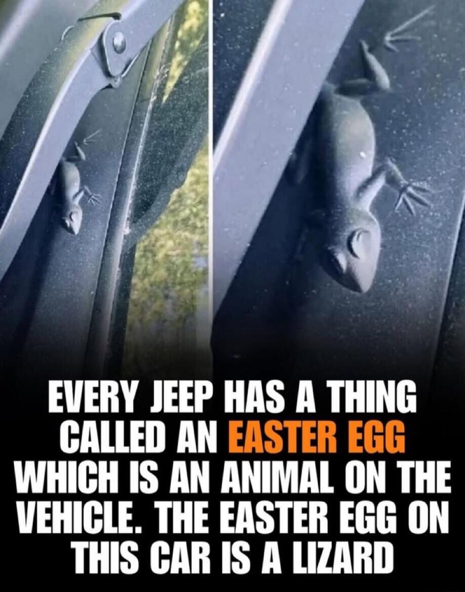 EVERY JEEP HAS A THING CALLED AN EASTER EGG WHICH IS AN ANIMAL ON THE VEHICLE. THE EASTER EGG ON THIS CAR IS A LIZARD