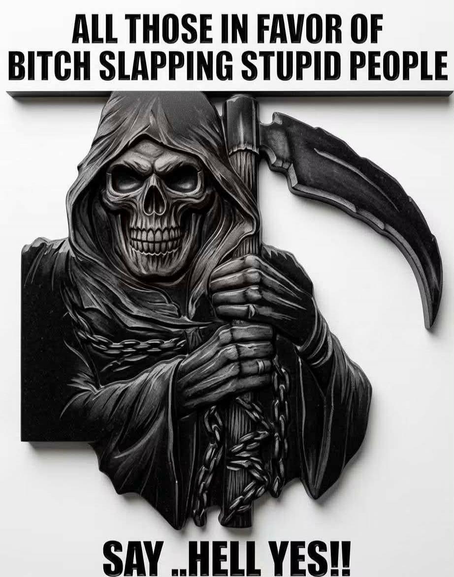 ALL THOSE IN FAVOR OF BITCH SLAPPING STUPID PEOPLE SAY ..HELL YES!!